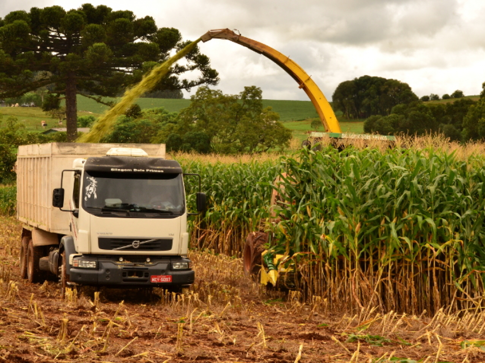 Agropecuária catarinense tem preços em alta e apreensão com estiagem