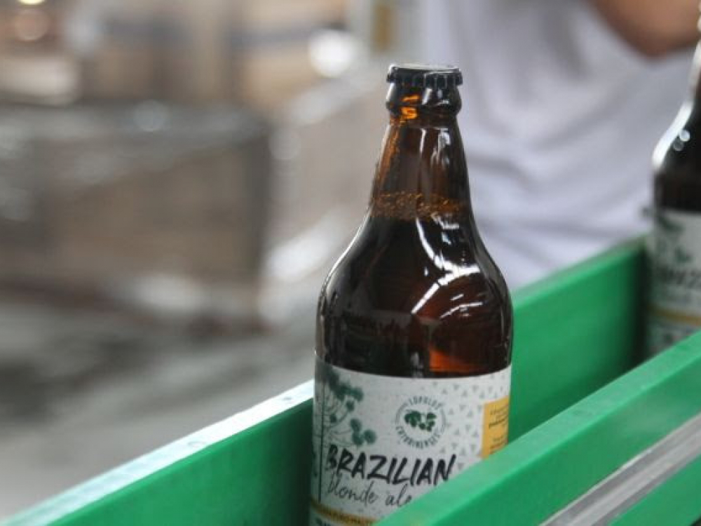 Ambev, Lohn Bier e microcervejarias catarinenses criam cerveja colaborativa com lúpulo nacional