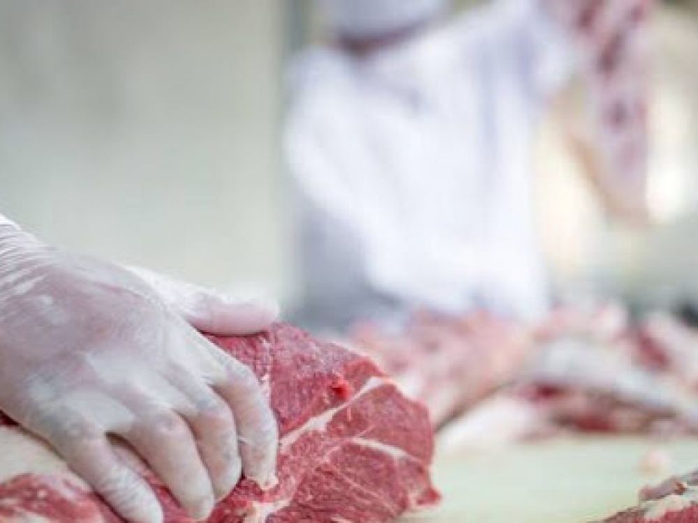 Santa Catarina amplia em 35% as exportações de carne suína em 2020