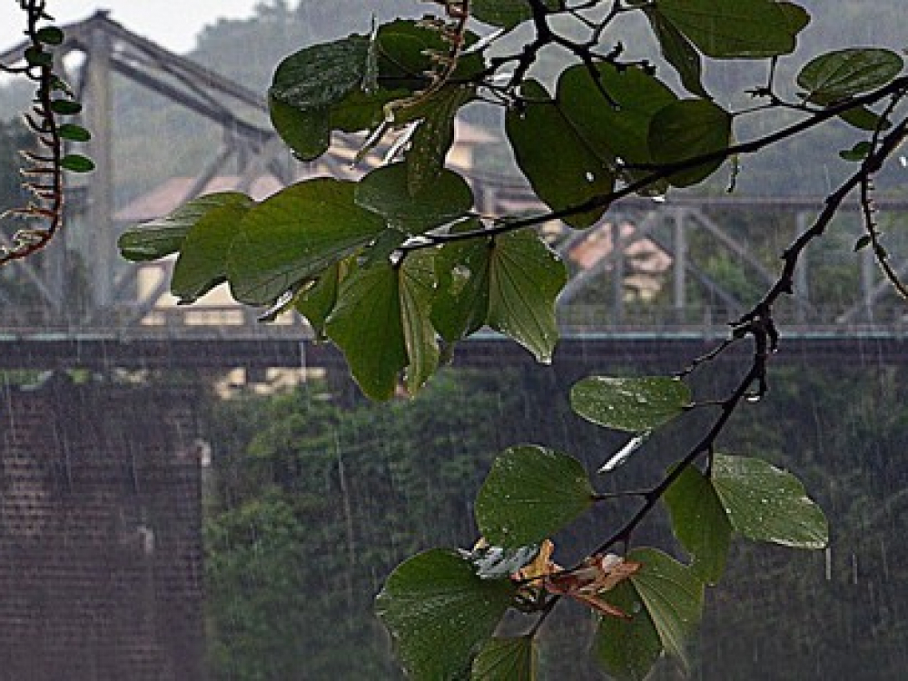 Sexta-feira será de tempo chuvoso em Blumenau