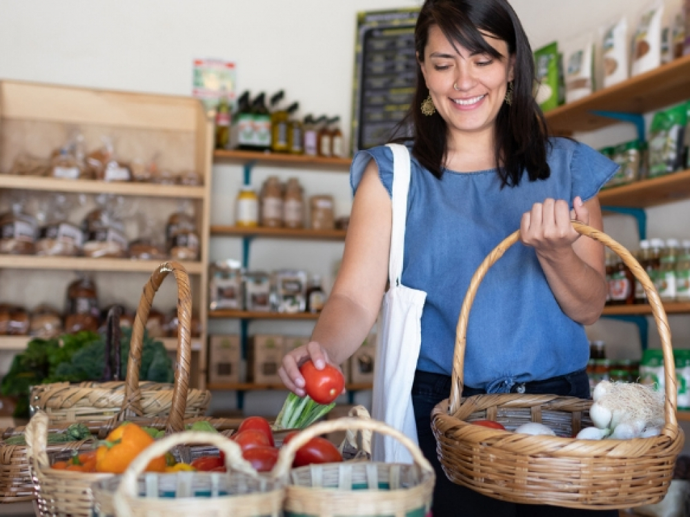 Sebrae/SC lança novos Estudos de Mercado para apoiar pequenos negócios