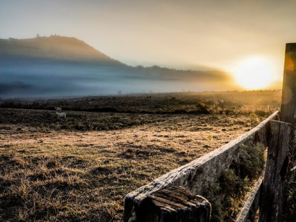 Santa Catarina registra a menor temperatura do ano nesta terça-feira, com -7,5°C