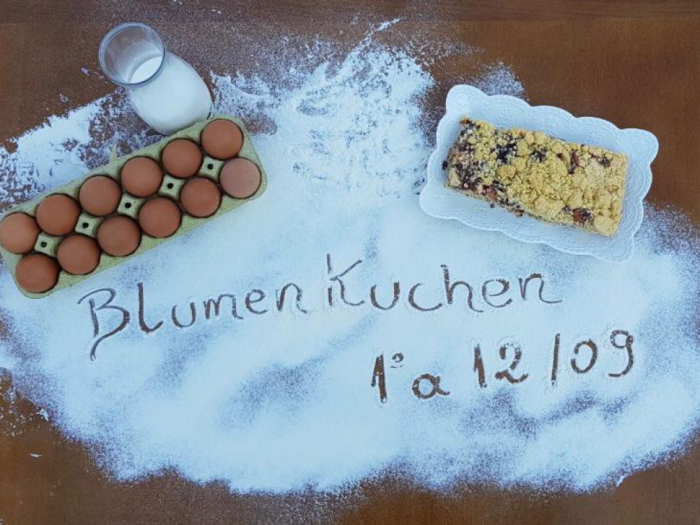 Conheça as confeitarias, padarias e panificadoras do 8º BlumenKuchen, o Festival de Cucas