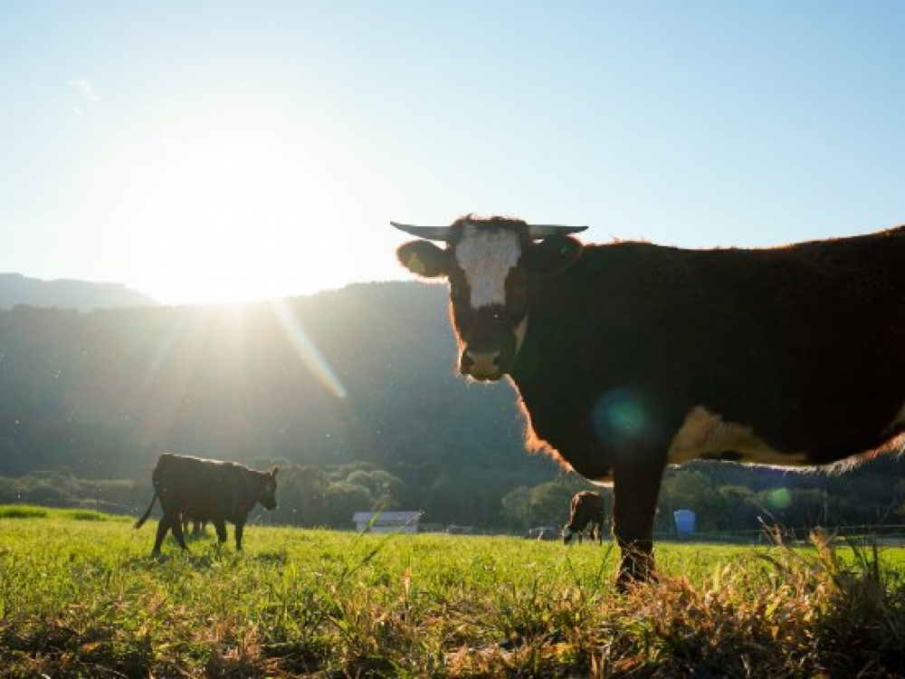 Agronegócio catarinense marca presença na Expointer no Rio Grande do Sul