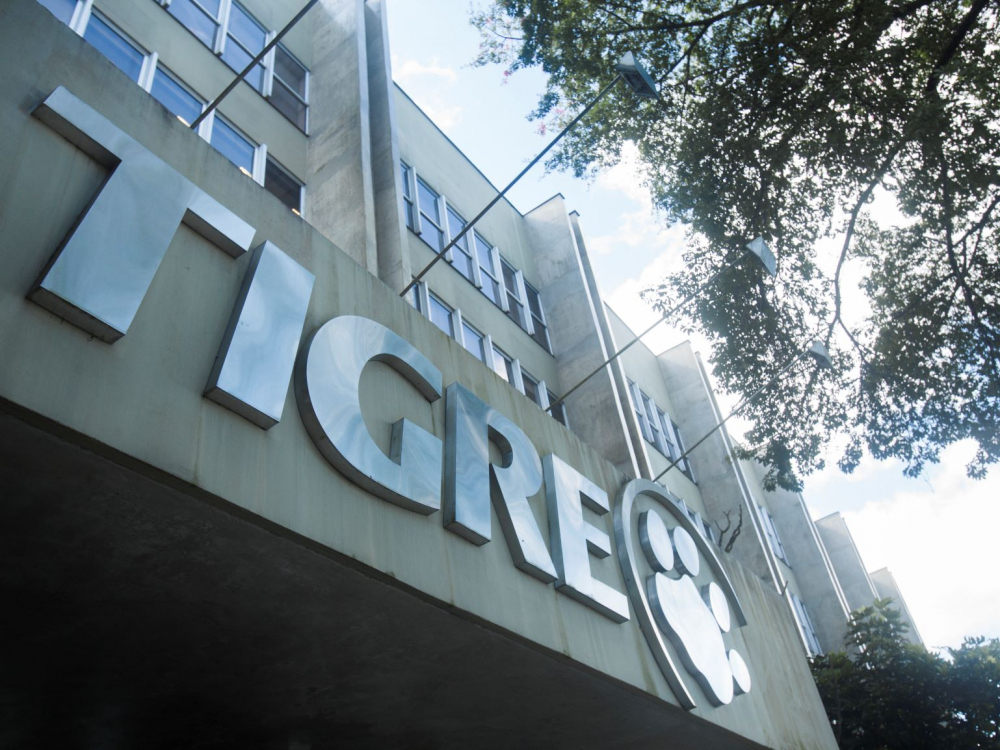 Tigre abre vagas de estágio com oportunidades em Joinville