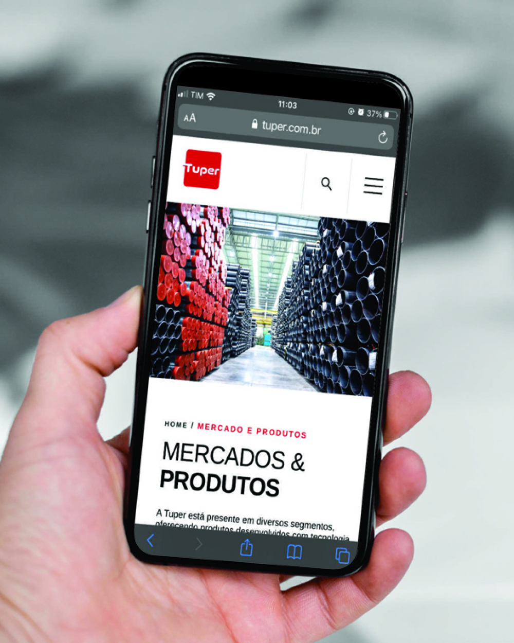 Tuper, de São Bento do Sul, lança hub de conteúdo 