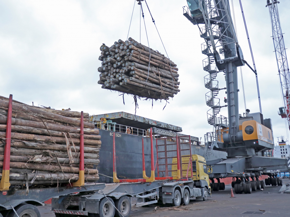Porto de Imbituba realiza maior embarque de madeiras do país