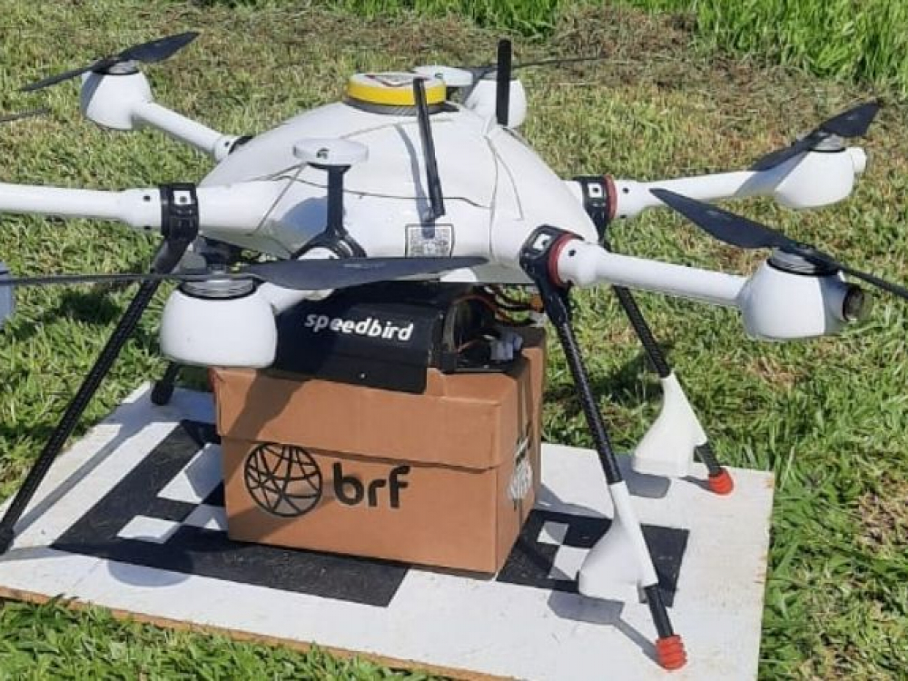 BRF utiliza drone para distribuição de material genético suíno em Santa Catarina