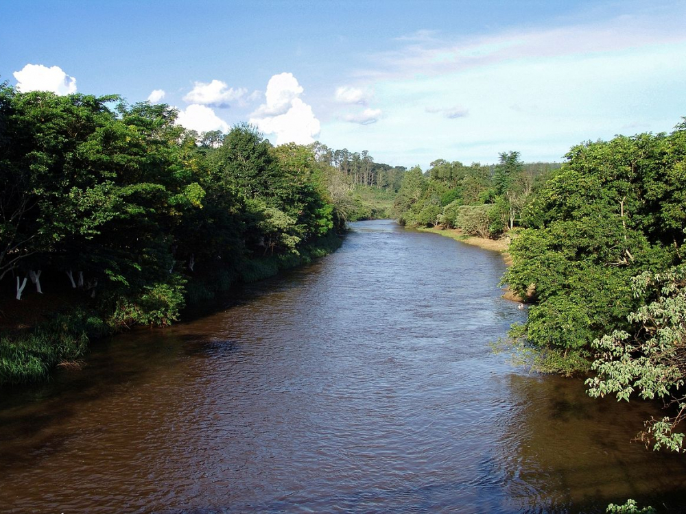 Empresa e sócio são condenados por lançar manganês e cloreto no rio Itajaí-Açu