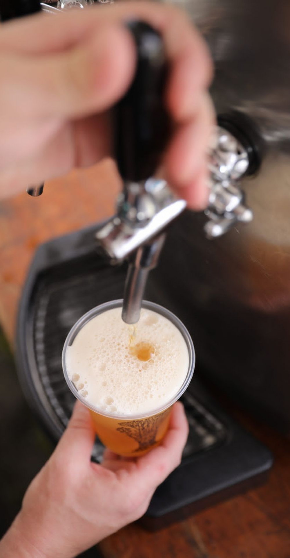 Vale da Cerveja produz 1 milhão de litros ao mês de bebida, mais de 10 vezes per capita do que a média nacional