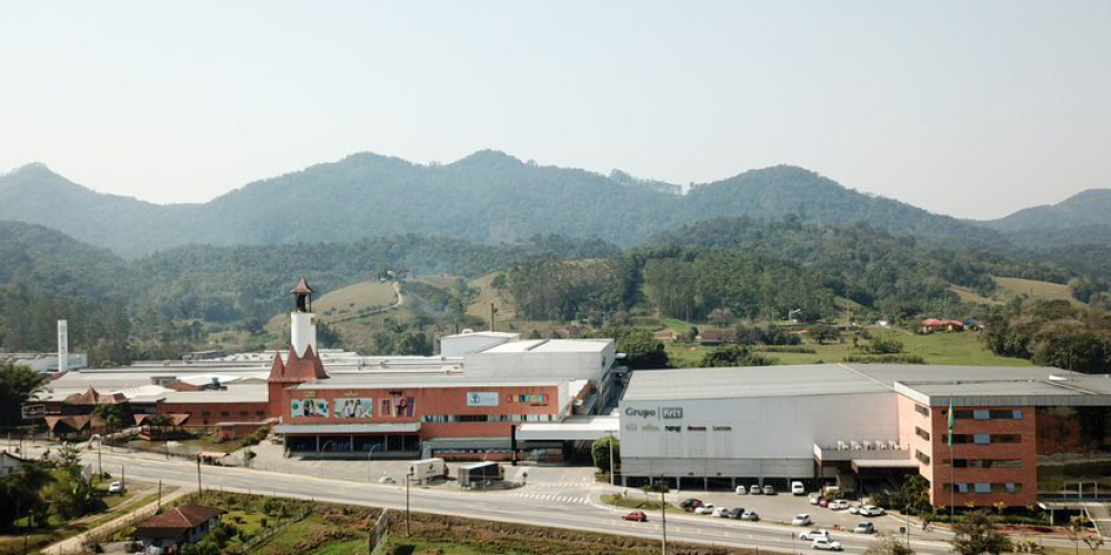 Grupo Kyly completa 37 anos e celebra crescimento no Brasil