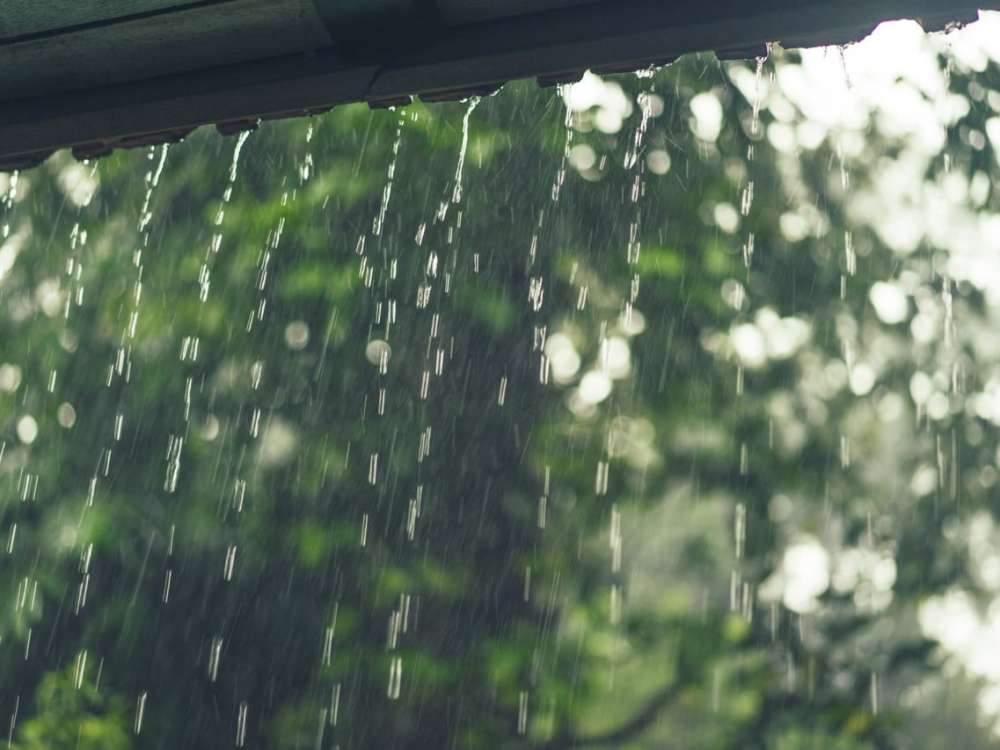 Quinta-feira de tempo instável com condição para chuva persistente em Blumenau