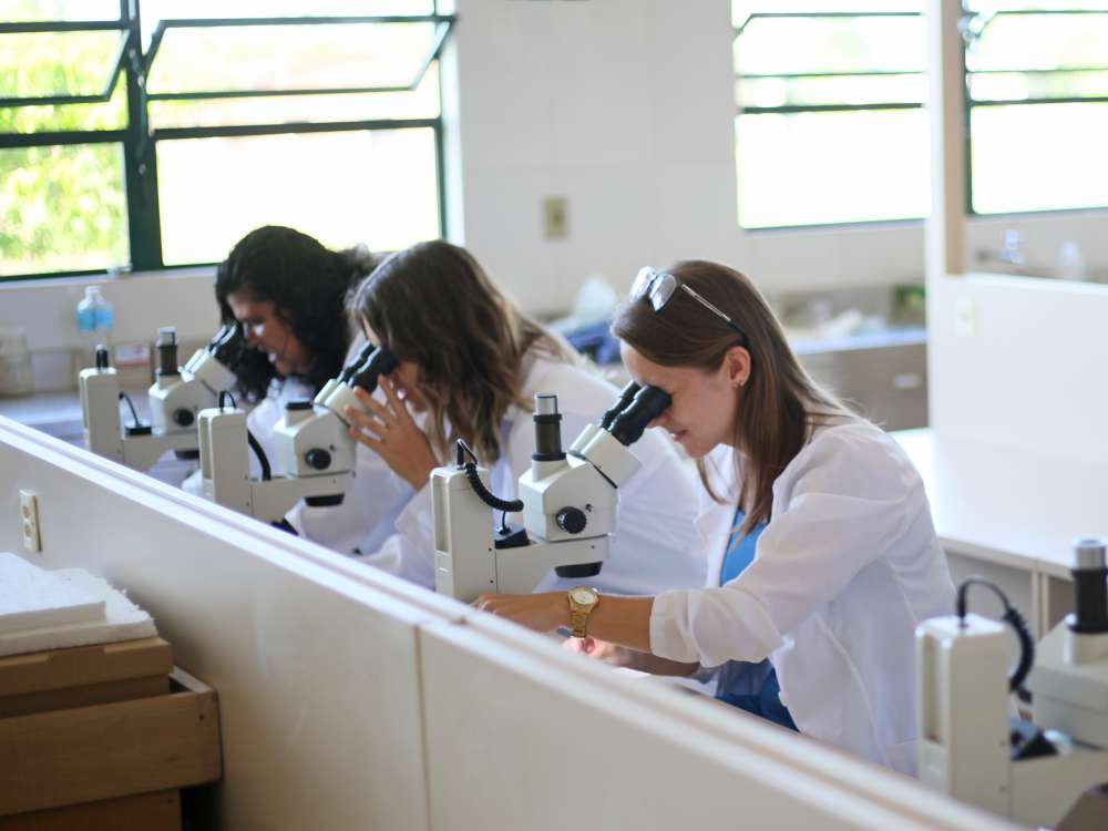 IFC abre inscrições de Cursos Técnicos para quem já terminou o Ensino Médio