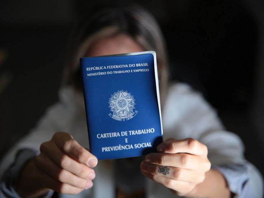 Vale do Itajaí lidera geração de empregos em Santa Catarina em 2024