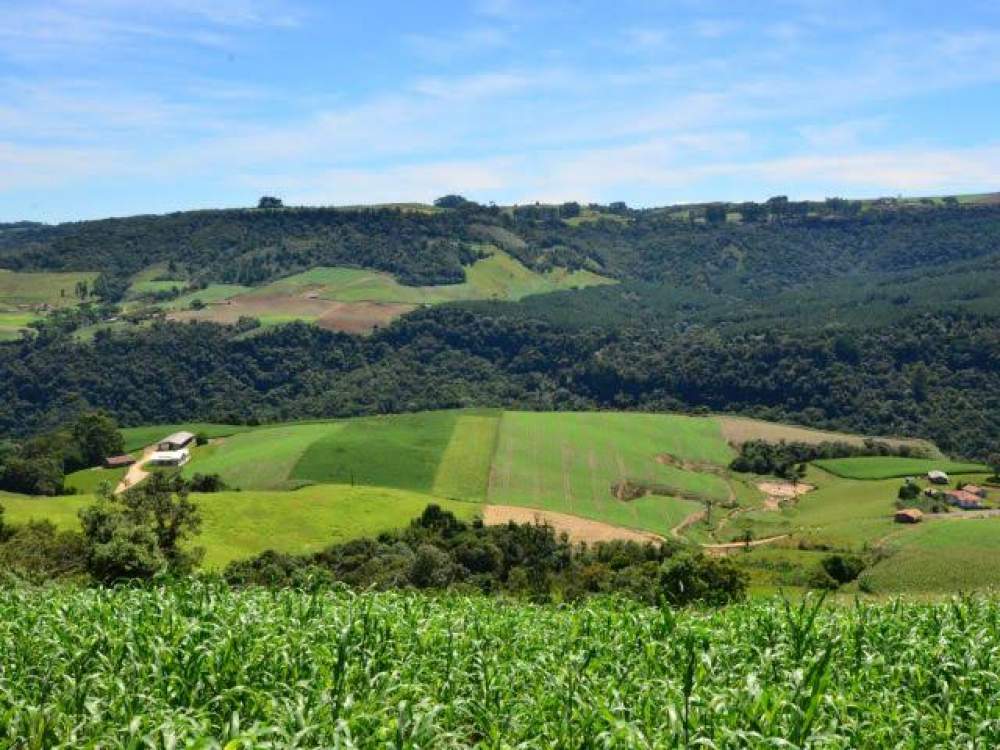 Agro catarinense fecha 2024 com R$ 63,7 bilhões e exportações recordes