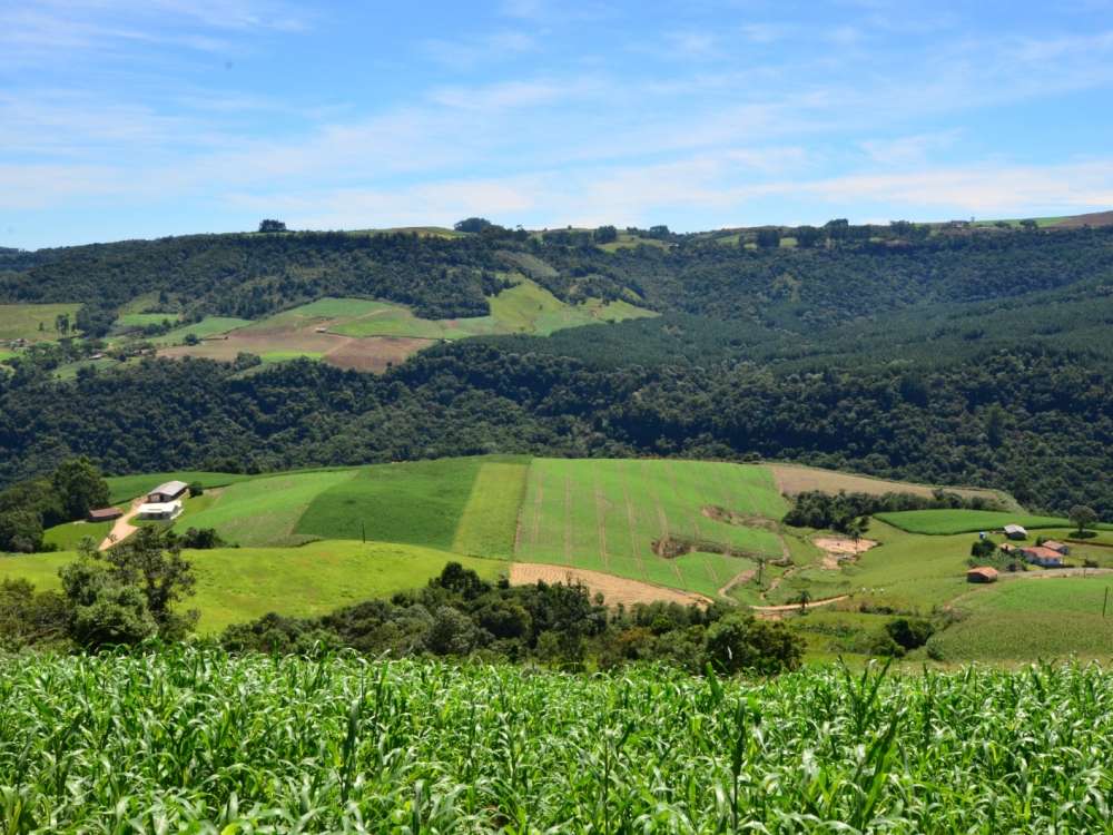 Fapesc lança edital de R$ 3 milhões para ampliar conectividade no meio rural de Santa Catarina