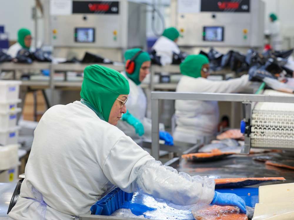 Santa Catarina lidera crescimento da indústria no Brasil no primeiro trimestre de 2025