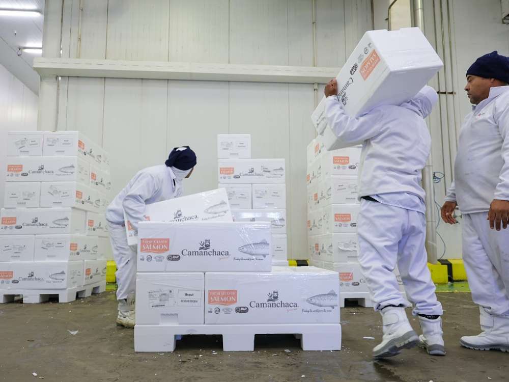 Sine Santa Catarina oferece mais de 8 mil vagas de emprego em todo o estado