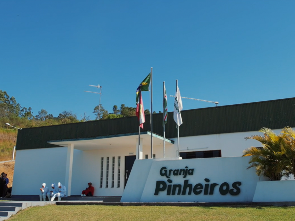 Marca de cortes de frango amplia atuação e mira no mercado de Santa Catarina