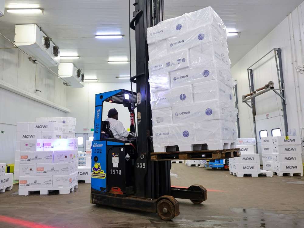 Atividade econômica de Santa Catarina cresce 6,1% nos cinco primeiros meses do ano