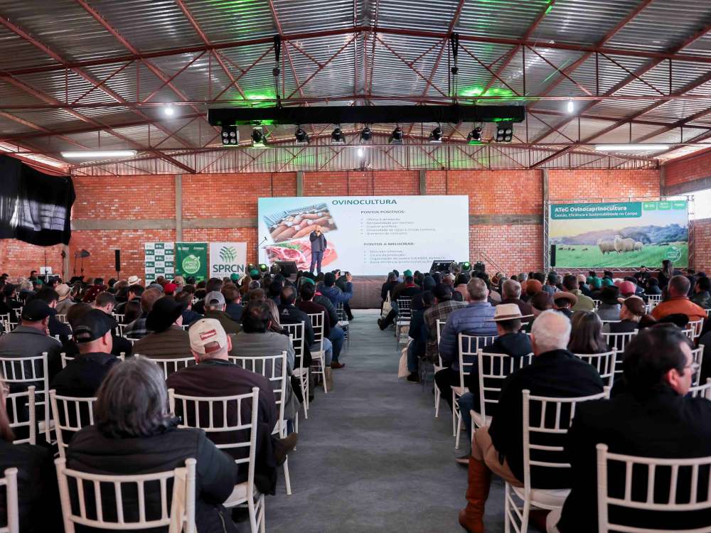 Campos Novos sedia maior evento da ovinocaprinocultura de SC e impulsiona desenvolvimento do setor