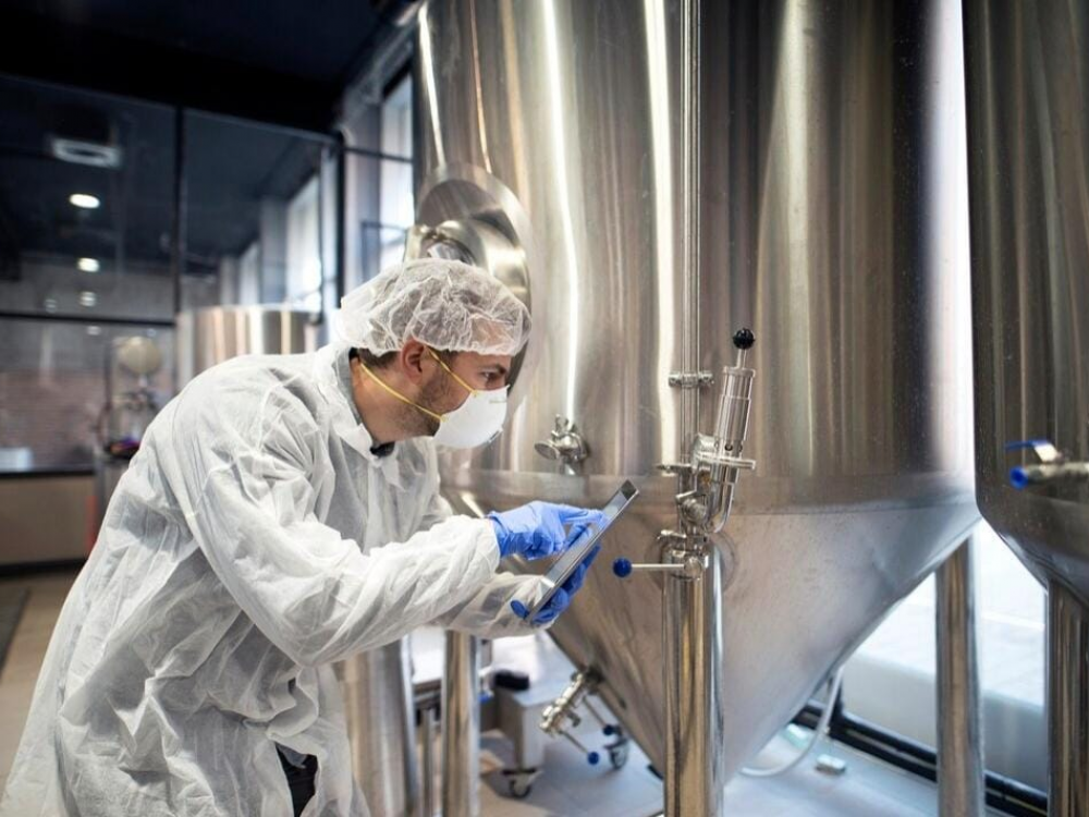 Santa Catarina e Minas Gerais avançam na indústria de alimentos e desafiam hegemonia de São Paulo no setor