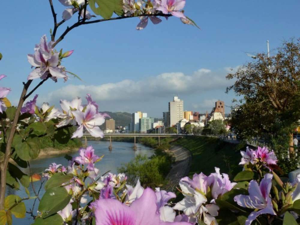 Quinta-feira será de tempo firme e ensolarado em Blumenau