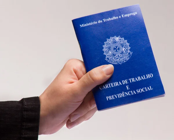 Microempresas são responsáveis por 60,5% dos empregos gerados em SC