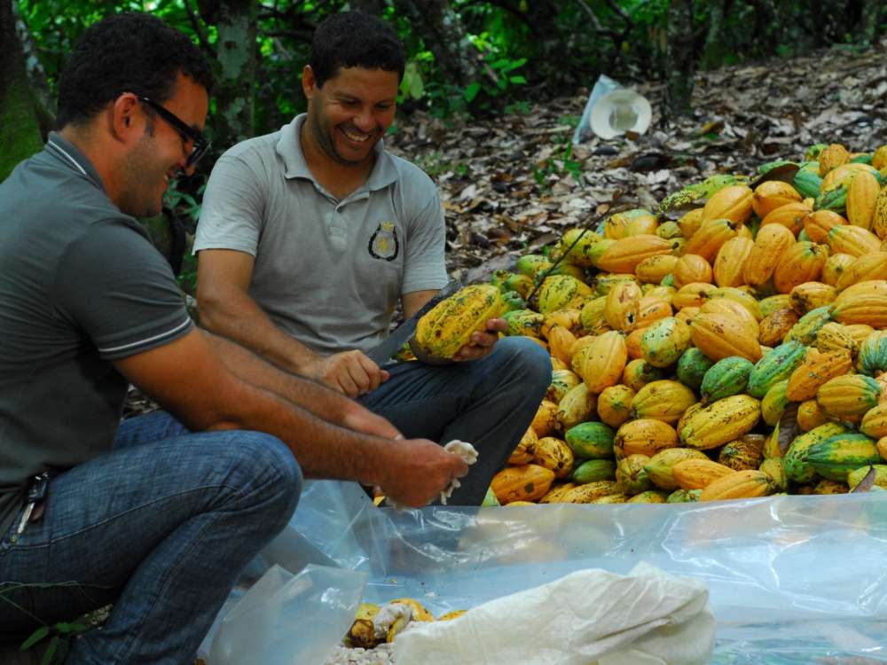 Nugali Chocolates conquista prêmio ambiental por virada na relação com cacauicultores