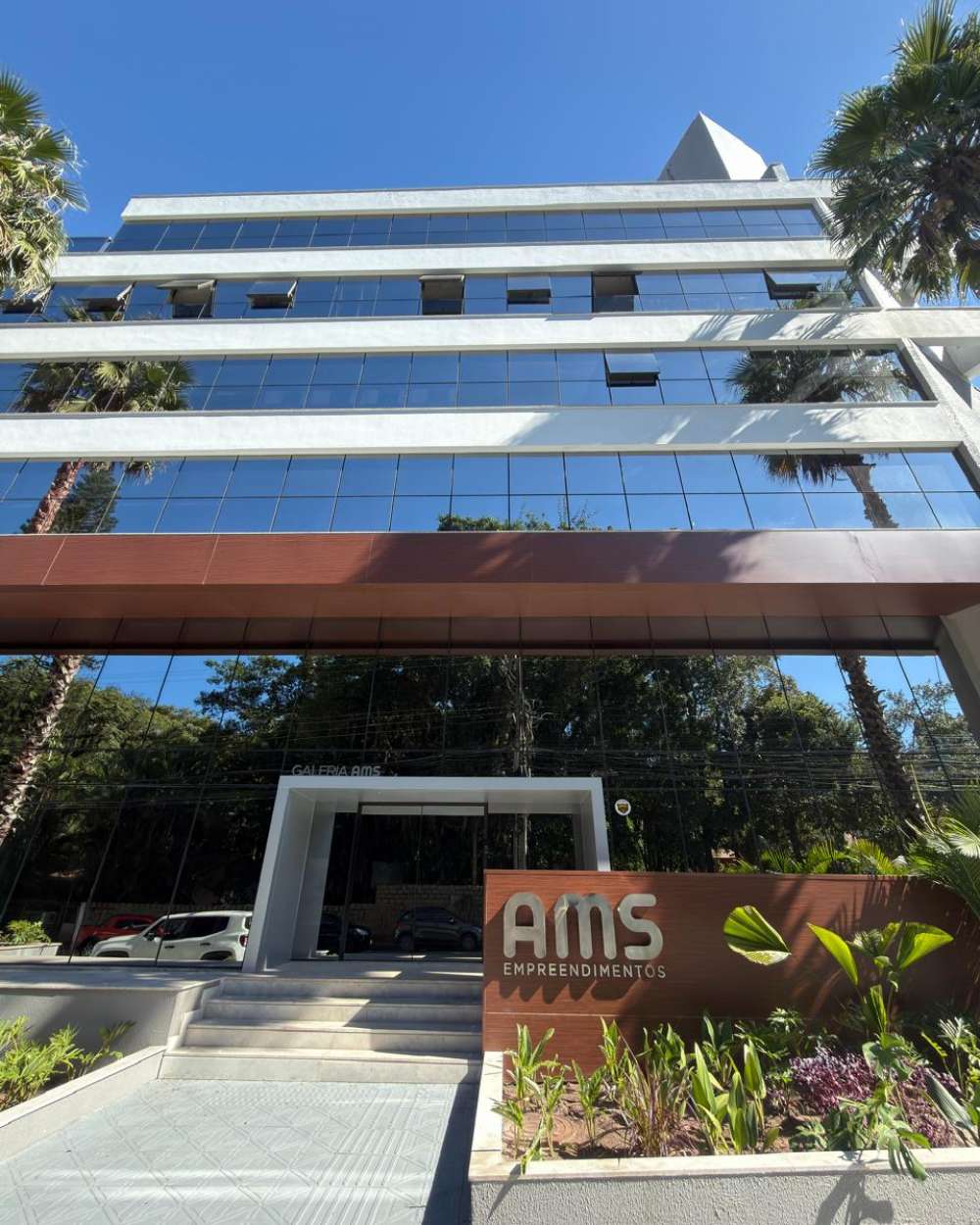 Com mercado de luxo em alta, AMS amplia operação e aposta em nova sede em Florianópolis
