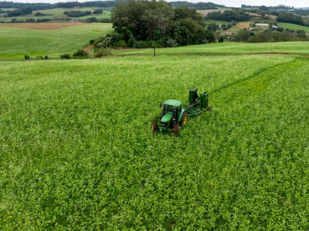 Sicoob repassa mais da metade dos financiamentos do Pronampe em SC para produtores rurais, micro e pequenas empresas