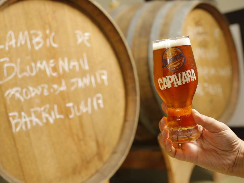 Santa Catarina é o estado com maior número de cervejarias per capita do país