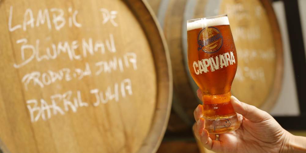 Santa Catarina é o estado com maior número de cervejarias per capita do país