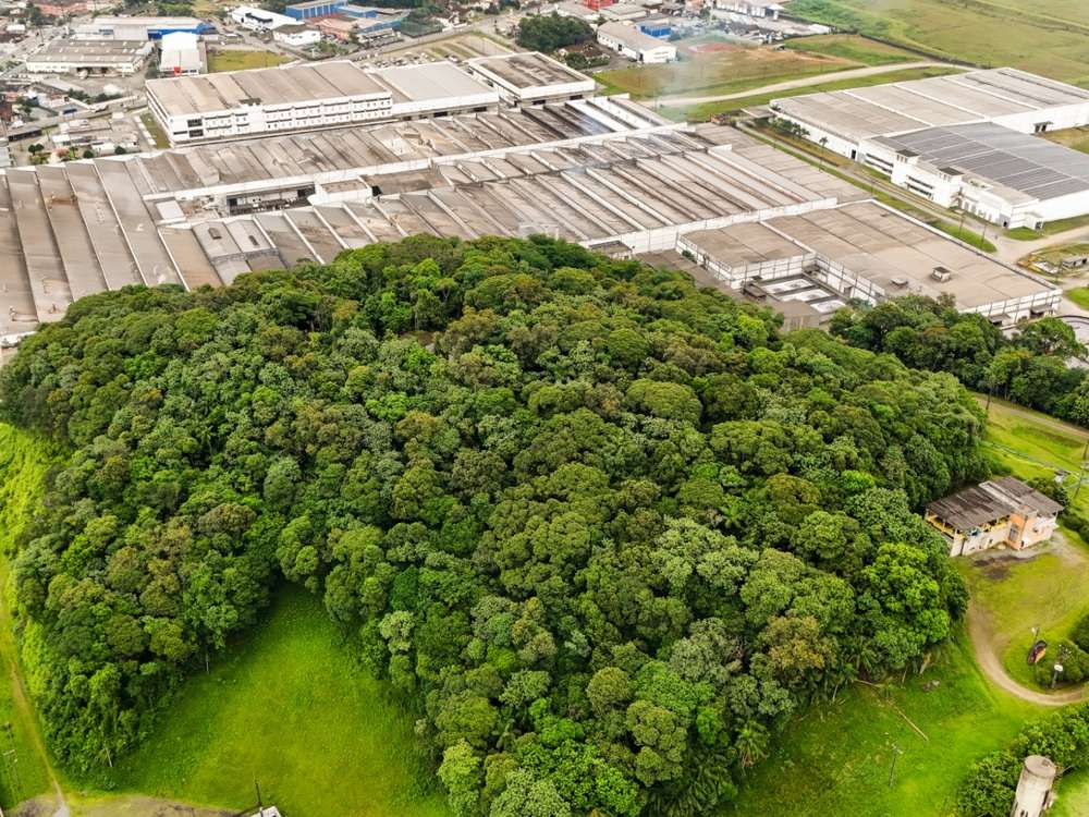 Döhler reafirma compromisso genuíno com o futuro ao apresentar resultados, investimentos e conquistas históricas