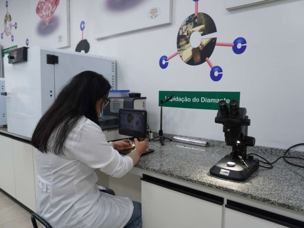 Cinzas e pelos de pets podem ser transformados em diamantes memoriais