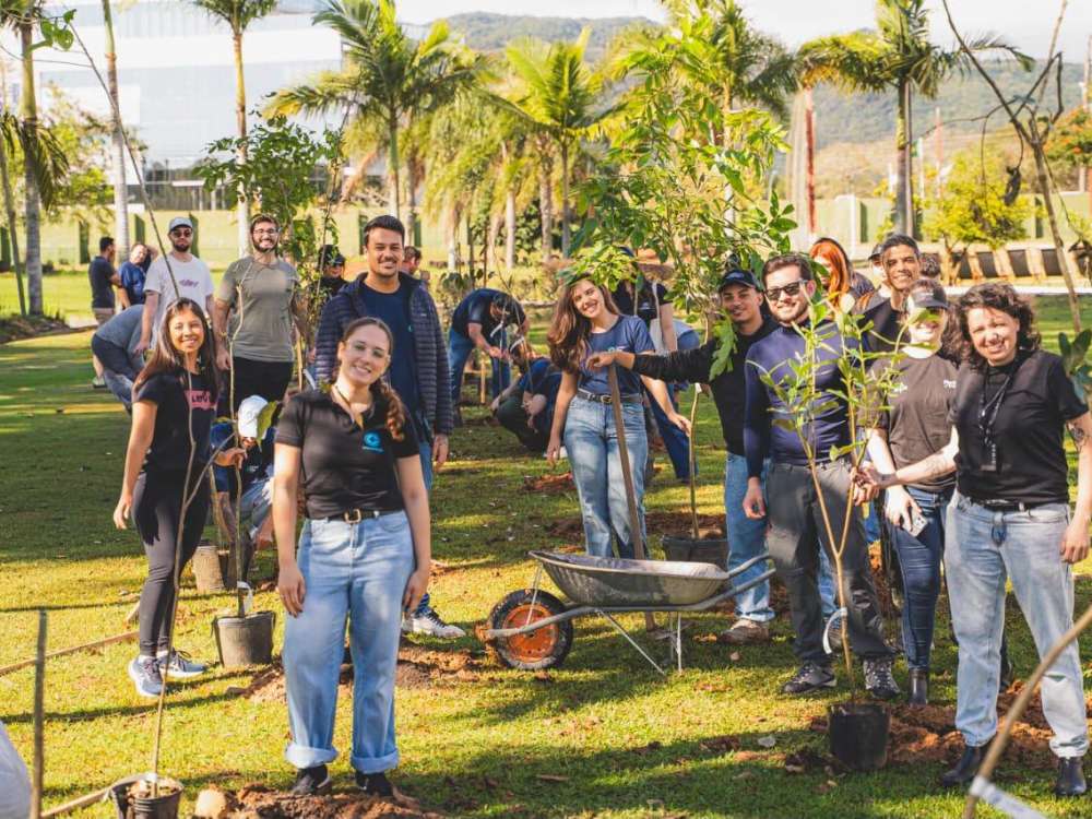 Grupo Dimas amplia estratégia climática e celebra 50 anos com ação de restauração da Mata Atlântica