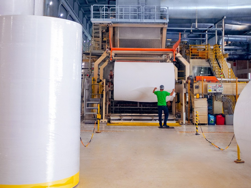Empresa detalha processo de fabricação de um rolo de papel higiênico