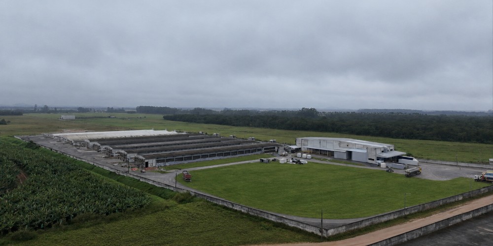 Mantiqueira investe R$ 50 milhões para ampliar produção de ovos no Norte de Santa Catarina