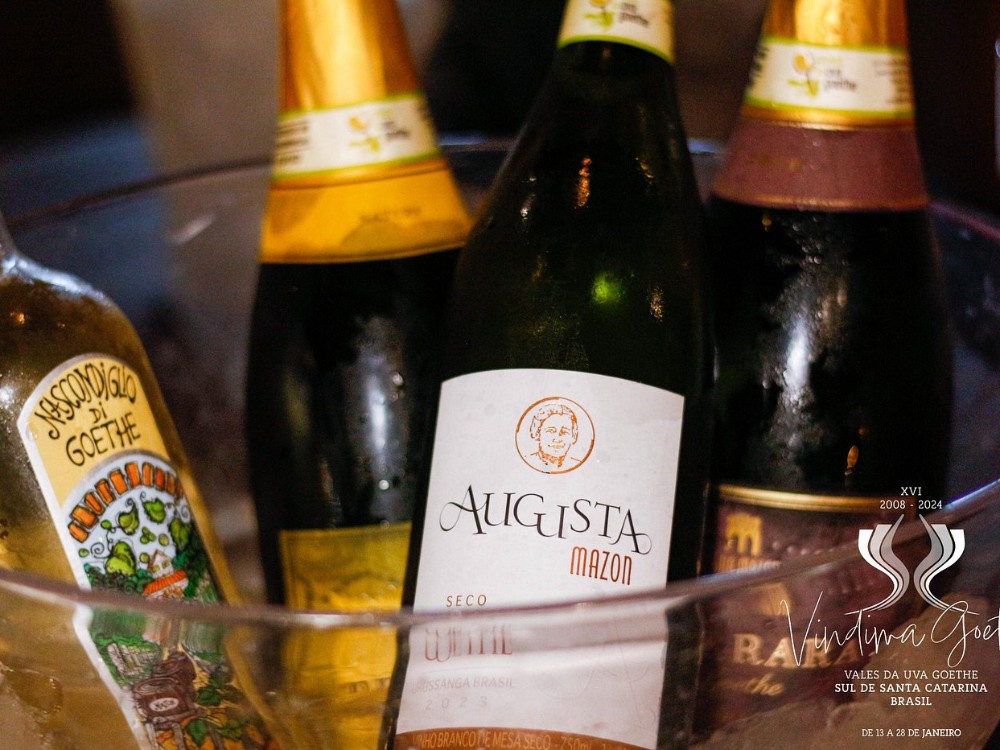 Novo vinho elaborado com Goethe Primo será lançado em Urussanga